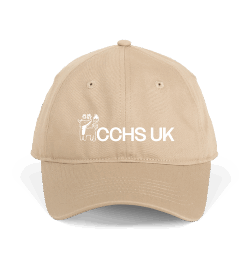 Adult Logo Cap