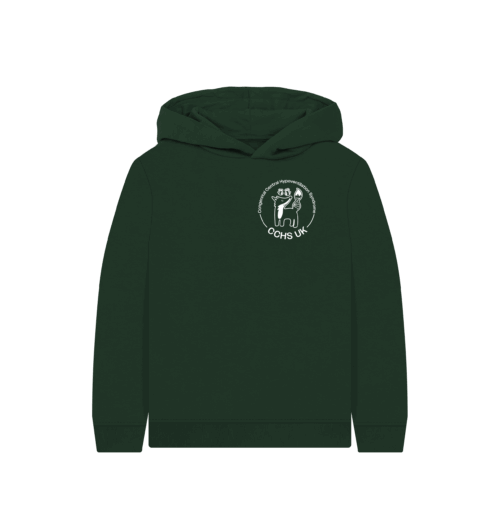Kids Logo Hoodie